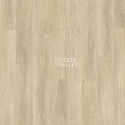 Кварцвиниловые полы Moduleo Next дерево Noble Oak 246 фото 1 | FLOORDEALER